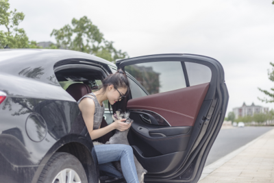 image for Summer Road Trip Tips
